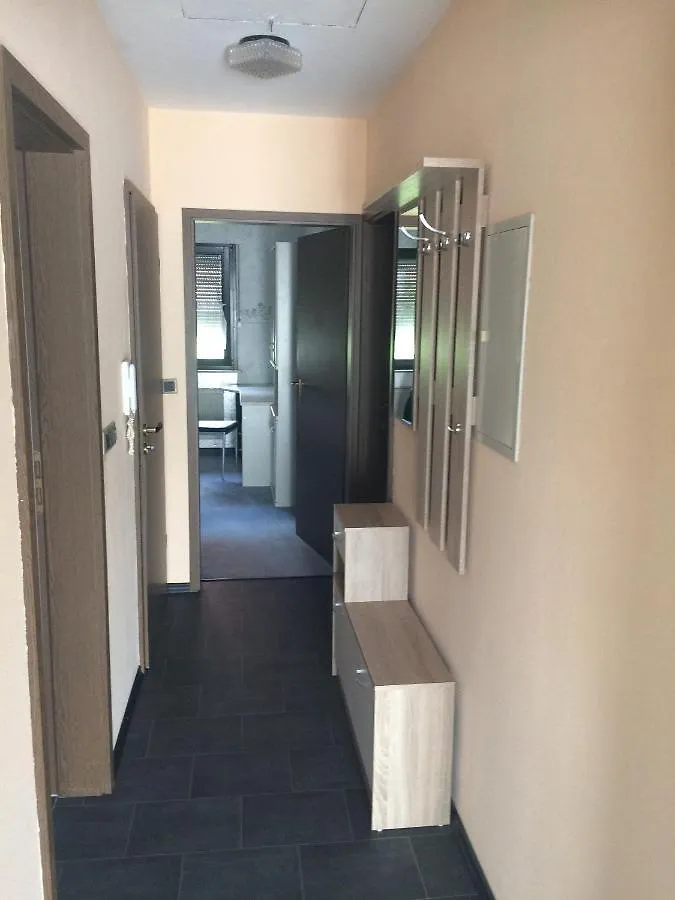 Apartment Ferienwohnung Ludwig Karlstadt